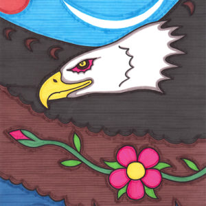 Wildrose Eagle by Christopher Chambaud felt-tip on paperboard  8.5″x 11″