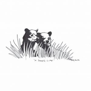 A Bear’s Life by Bill Roy ink on paper  8.5″x 11″