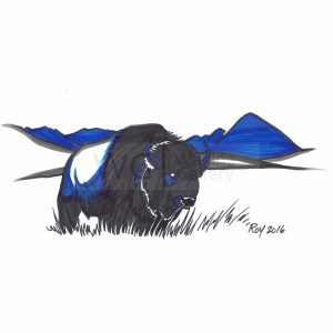 Buffalo by Bill Roy ink on paper  8.5″x 11″