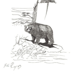 Fishing Grizzly by Bill Roy original illustration ink on paper  8.5″x 11″