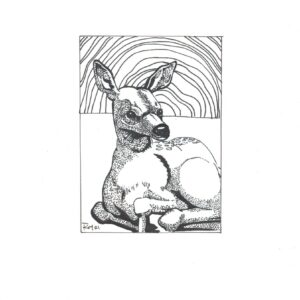 “Fawn” by Bill Roy original illustration ink on paper  8.5″x 11″