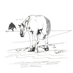“Horse” by Bill Roy original illustration ink on paper  8.5″x 11″
