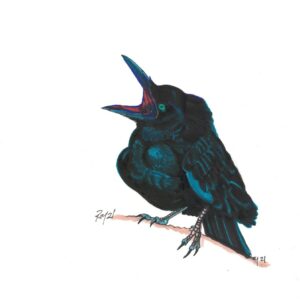 “Raven” by Bill Roy original illustration ink on paper  8.5″x 11″