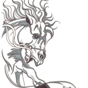 “Stallion” by Bill Roy original illustration ink on paper  8.5″x 11″