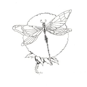 “Dragonfly” by Bill Roy original illustration ink on paper  8.5″x 11″