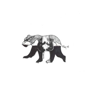 “Hidden Bears” by Bill Roy original illustration ink on paper  8.5″x 11″