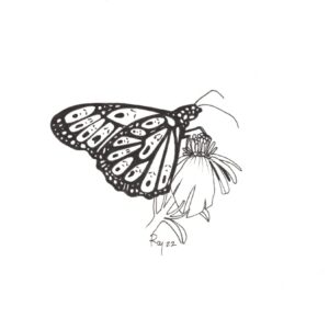 “Butterfly” by Bill Roy original illustration ink on paper  8.5″x 11″