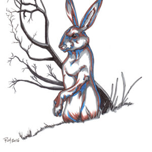 The Rabbit by Bill Roy ink on paper  8.5″x 11″ – SOLD