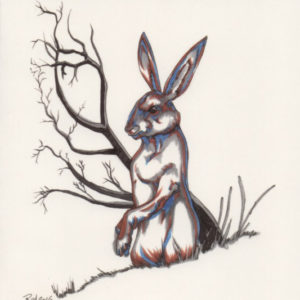 Rabbit Greeting Card – Bill Roy – OUT OF STOCK