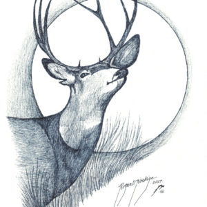 Caribou by Roger Noskiye ink  8.5″x 11″