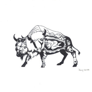 “Bison Begins” by Bill Roy original illustration ink on paper  8.5″x 11″