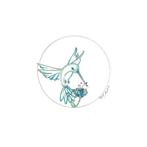 “Hummingbird Spring” by Bill Roy original illustration ink on paper  8.5″x 11″