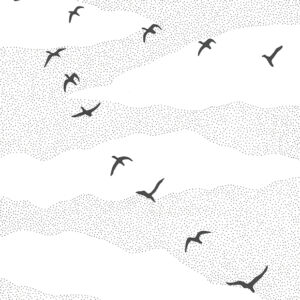 “Flock” original illustration by Christopher Chambaud felt-tip on paperboard  8.5″x 11″