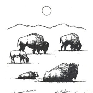 “The Herd” original illustration by Christopher Chambaud felt-tip on paperboard  8.5″x 11″